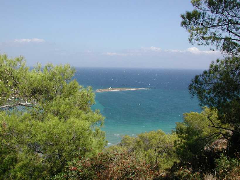 Vavron's besch