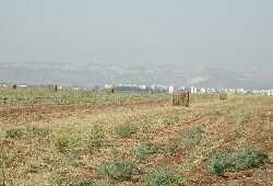 Afula
