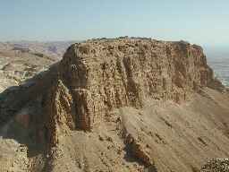 Yarden