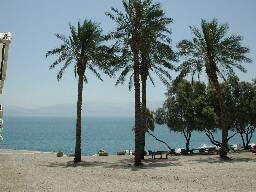 Yarden