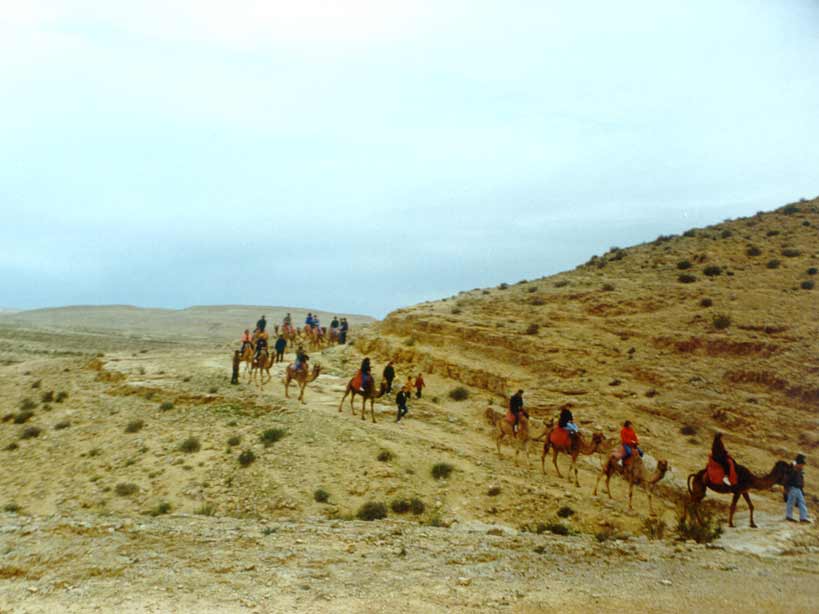 negev.jpg