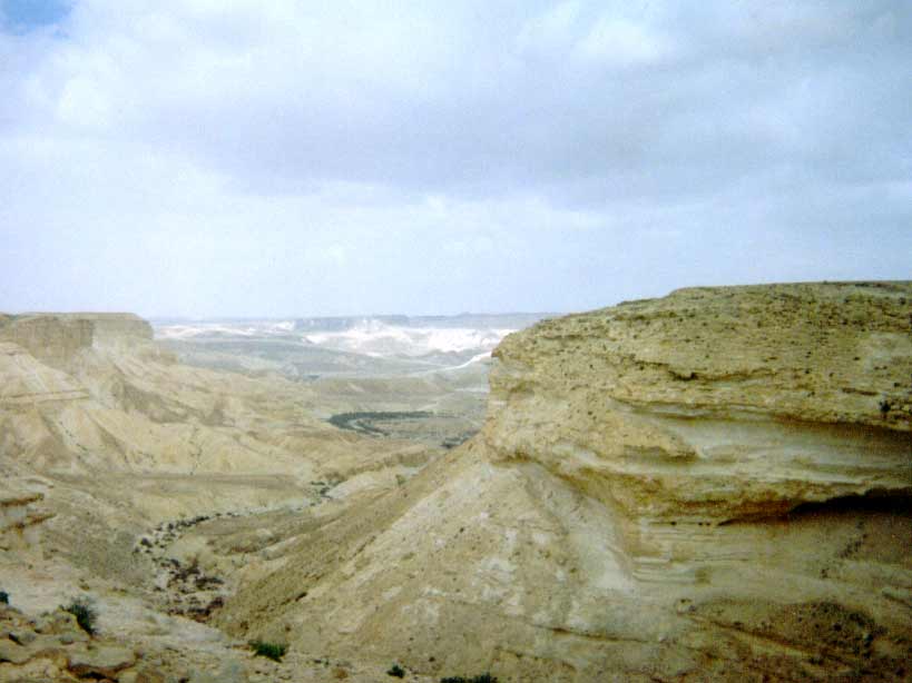 negev1.jpg