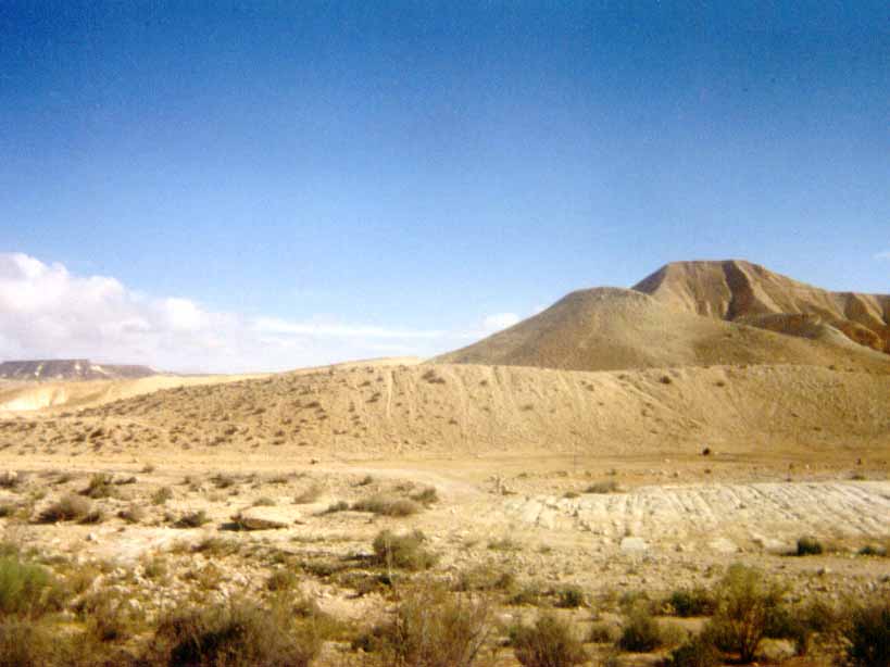 negev2.jpg
