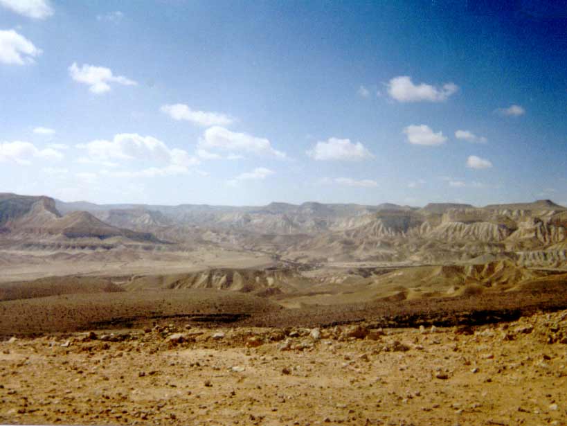 negev4.jpg