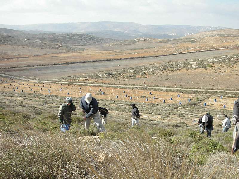 Shomron