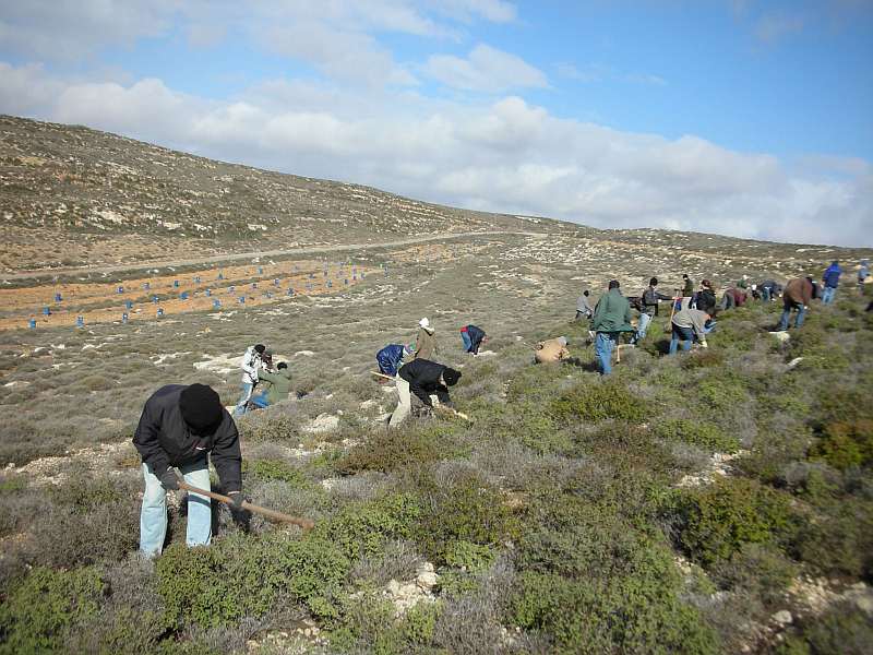 Shomron