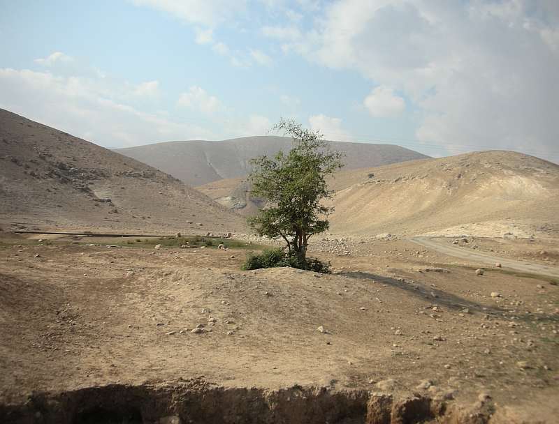Shomron