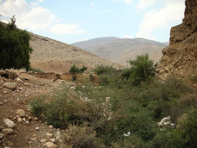 Shomron