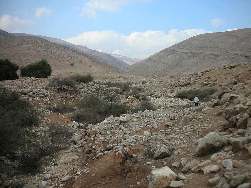 Shomron