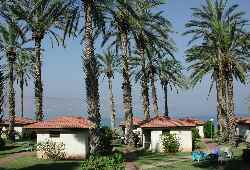 Ein-Gev