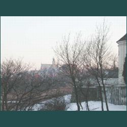 735.jpg