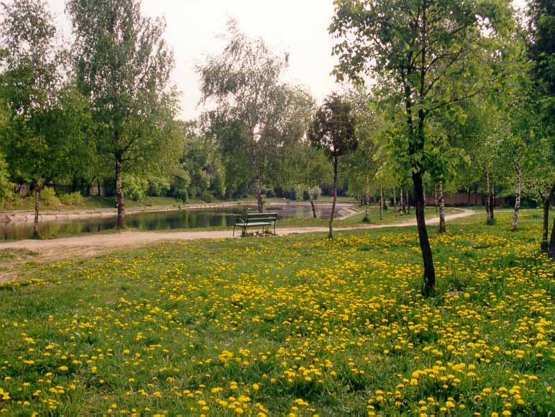 Park