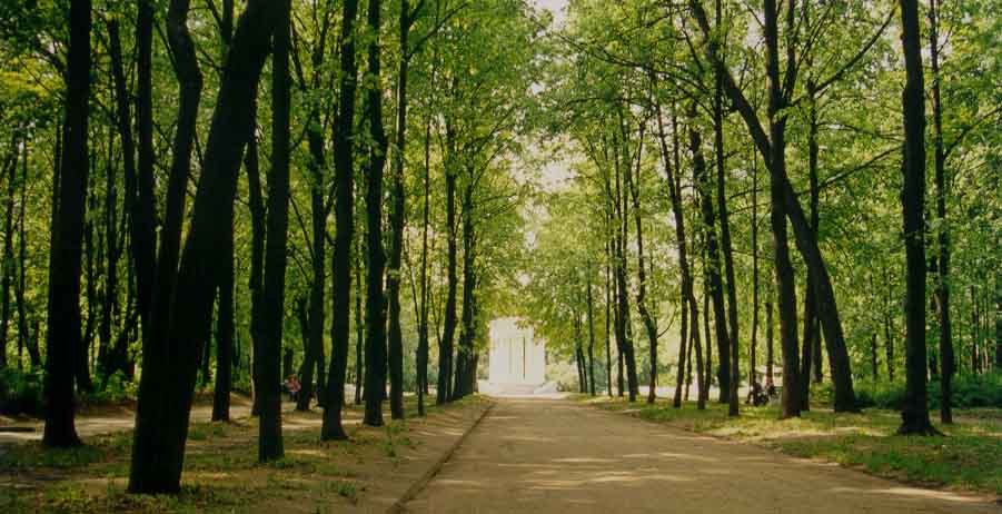 NeskuchnySad
