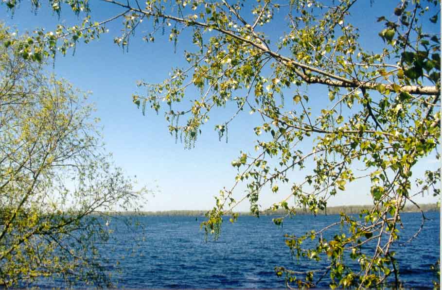 Volga