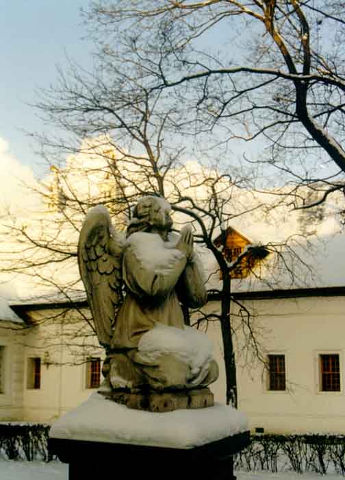 angel