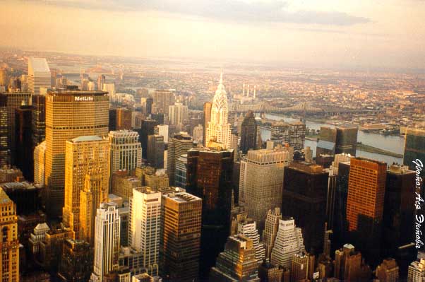 NY
