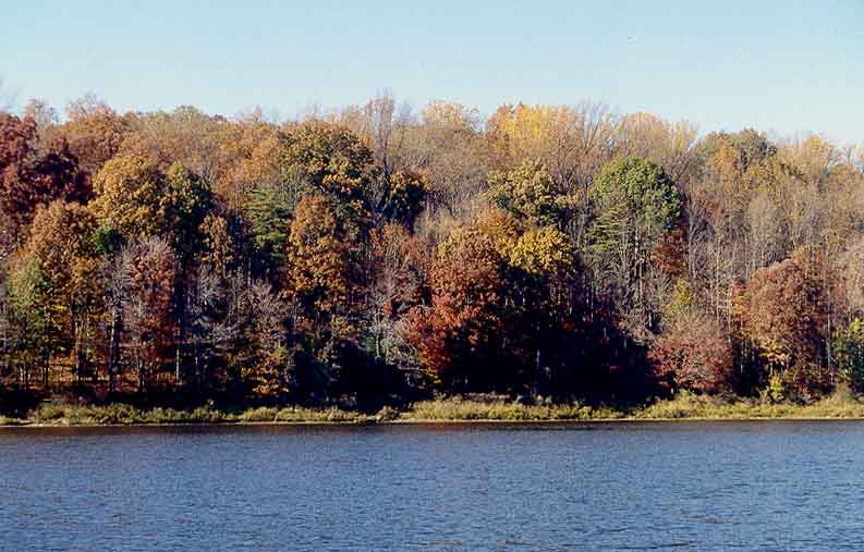 Washington
