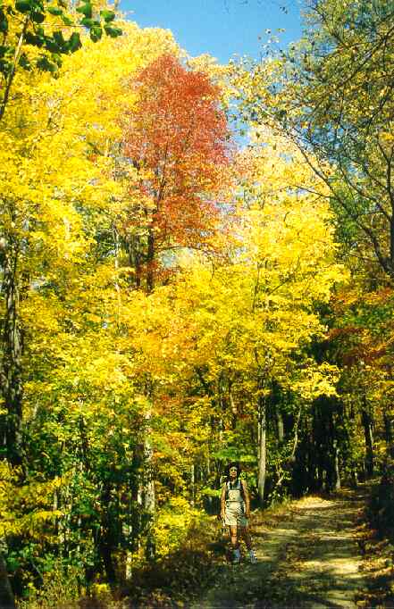 Washington