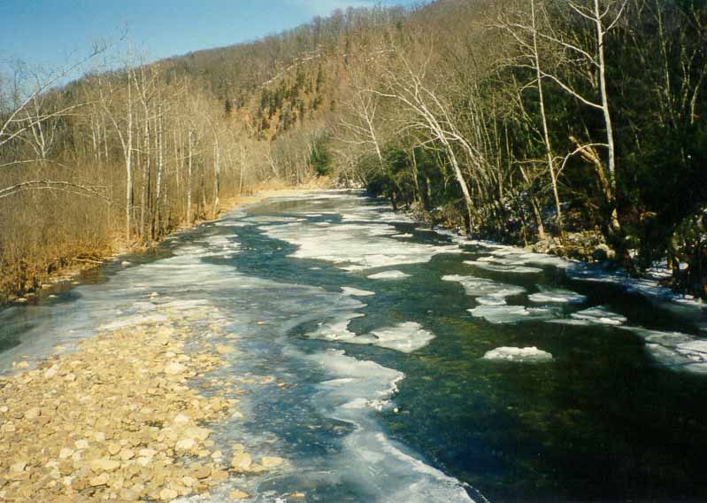 Potomak