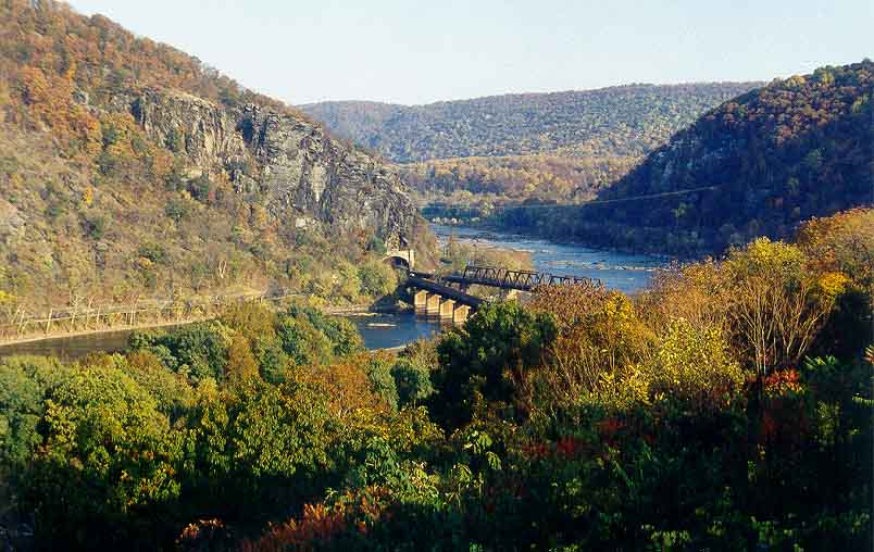 Potomak