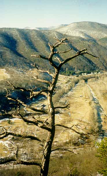 West Virginia