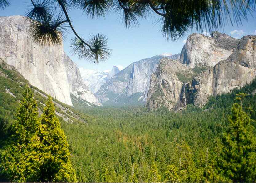Yosemity